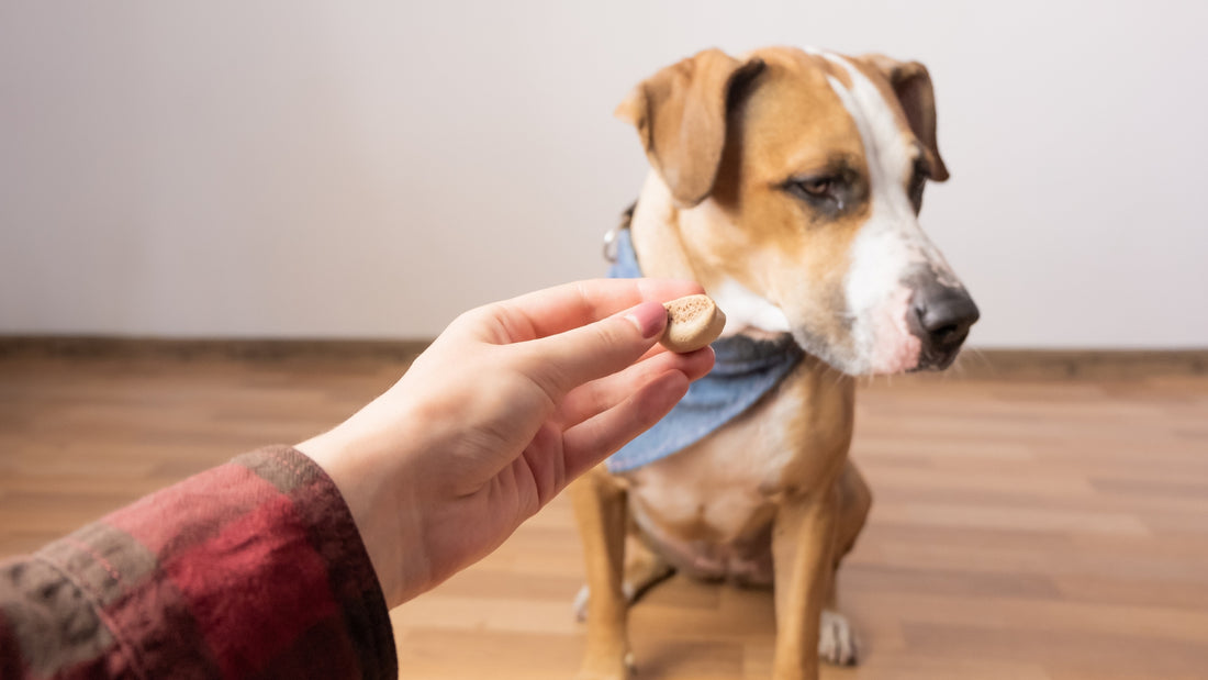 petchef-epilektikos-sto-faghto