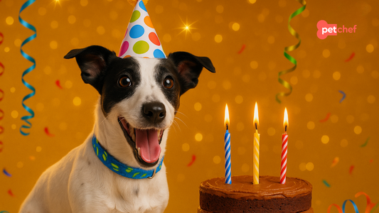 3-years-petchef