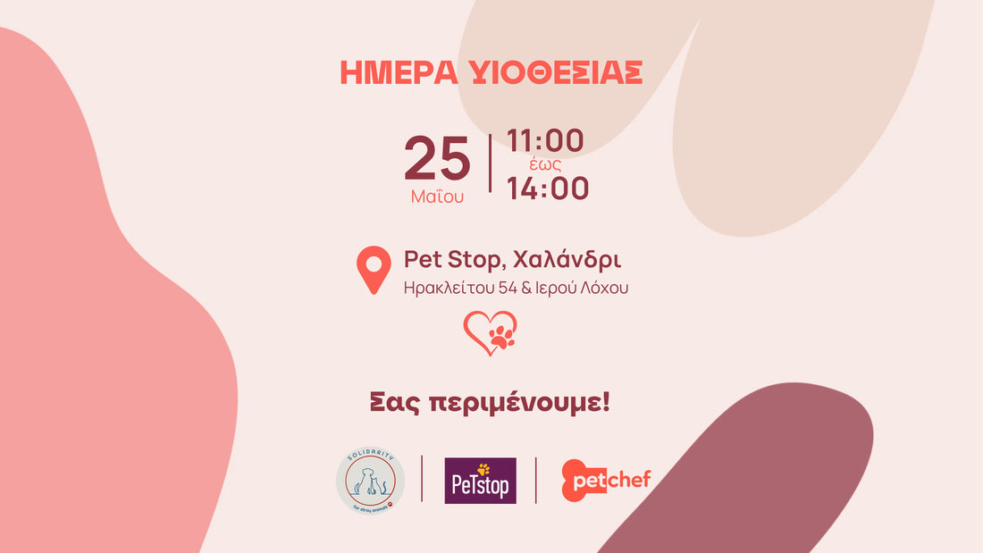 Ημέρα Υιοθεσίας 🐾