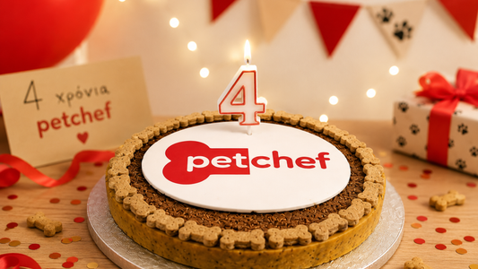 4-years-petchef