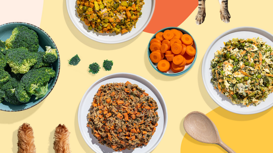 Human-grade τροφή, γιατί βοηθά την πέψη των σκύλων