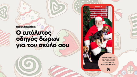 Ο απόλυτος οδηγός δώρων για τον σκύλο σου 🎁