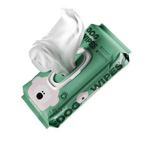 Μαντηλάκια καθαρισμού από βιοδιασπώμενες ίνες 80τμχ - Aloe Vera