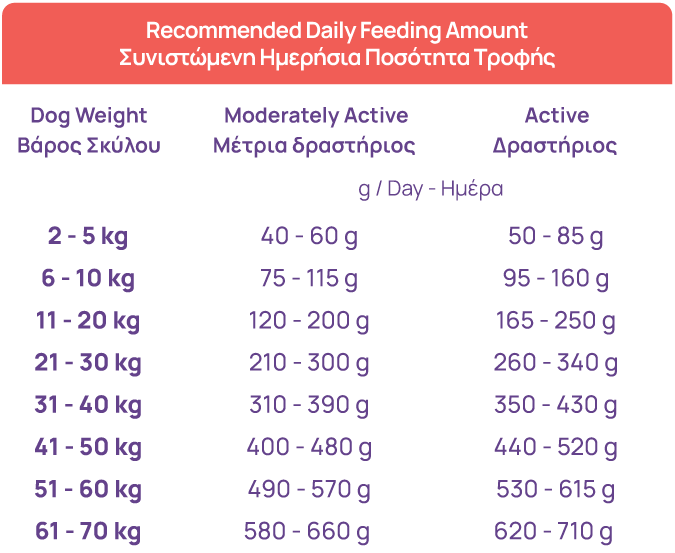 How much should my dog eat?