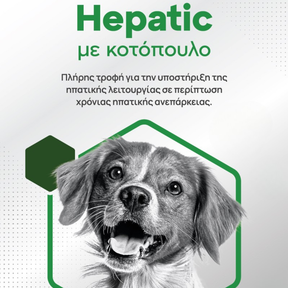 Hepatic με κοτόπουλο